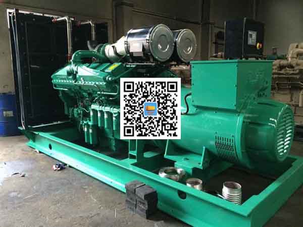 郁南发电机出租-发电机大修后应作哪些试验